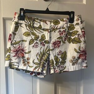 EUC Loft Shorts
